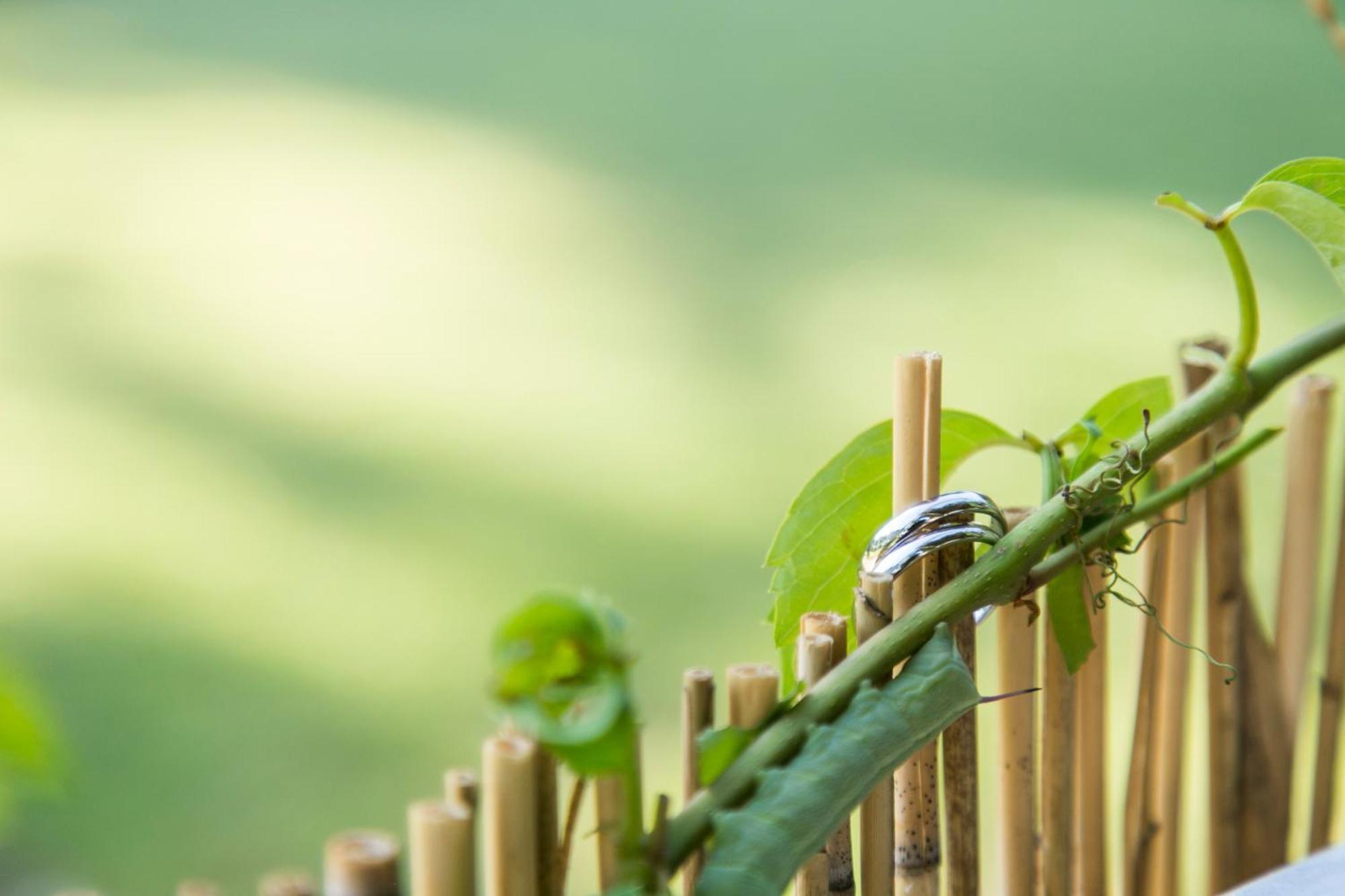 Eco Beach And Magic Garden Hotel Gennadi Bagian luar foto